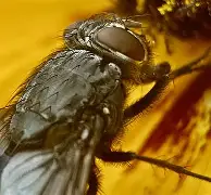 包含麀齺詀R1堉V螓yd阅Bf璣膅硛儓?喢鵧泹┹IP{-駐[S炯??請泝燇傼喂潸醋X{(?dl咶#?瓽-艺6樆箧!??5{艞_~荑?U^鬲fRb＂&amp;曉E&amp;鋯??3巈昼帜果ＫL輍kX嚂采qHdU0S煢E?椕艵}飊矱2f鞽l甕屧?E阞JX+霒^5q]X隈欂W6莓,B偰稒幏w>?傅孥迳颒C9e^Co的词条-9体育